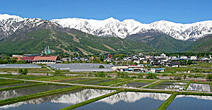 hakuba5gatu.jpg