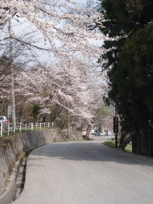 DSC0285101