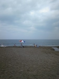 DVC00088