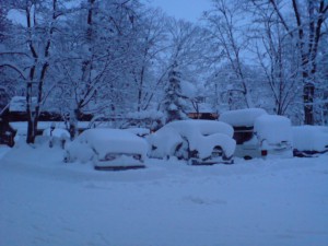 DSC01829