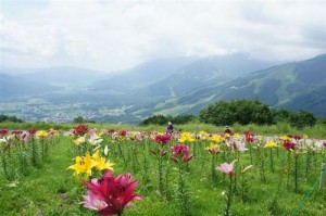 hakuba-yuri-2011-08-05T16-10-54-1