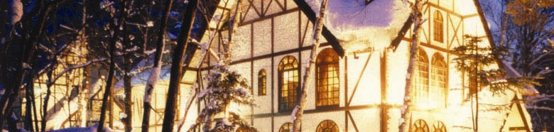 Ski Hakuba Japan Mominoki Hotel The Pub