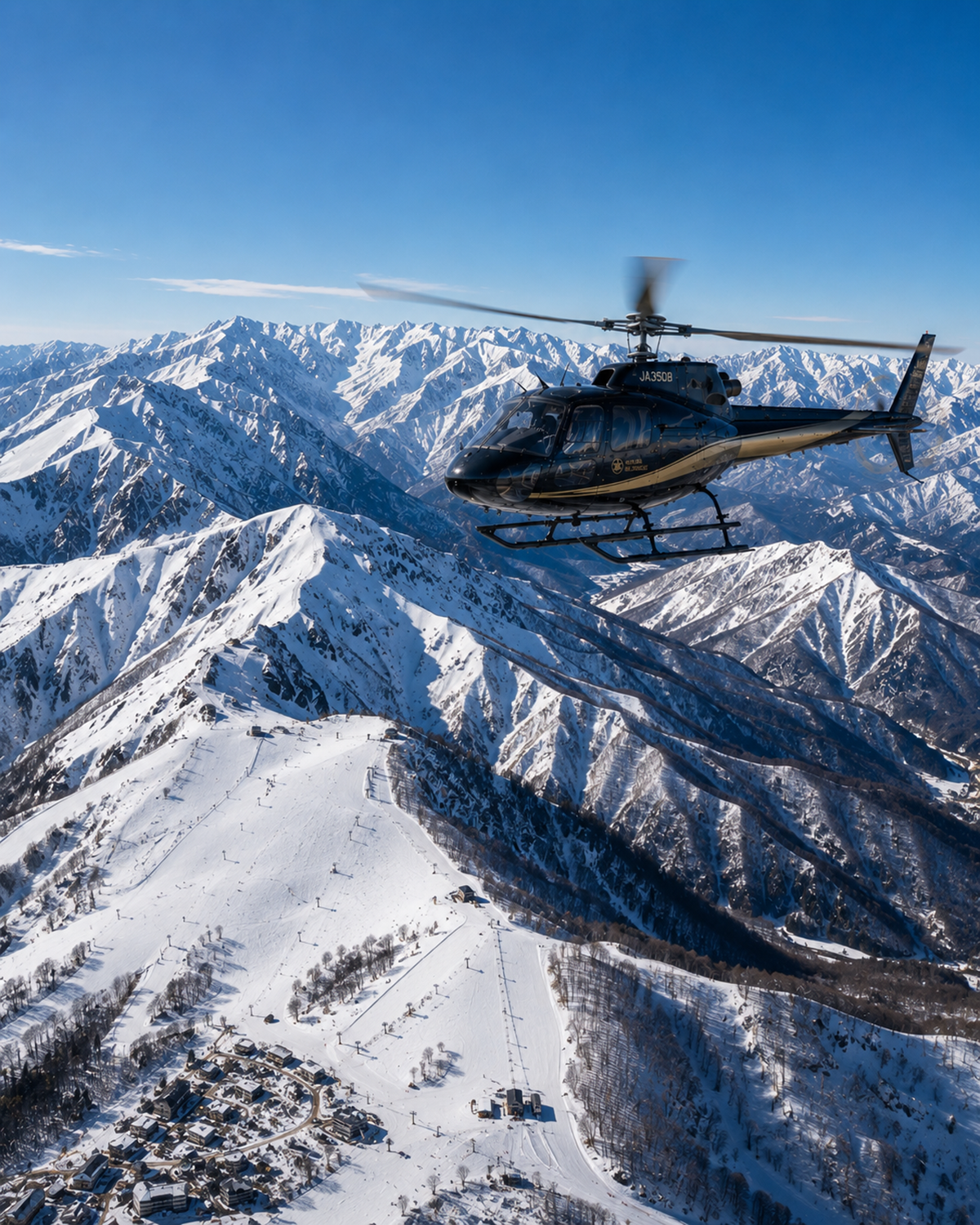 Scenic Flights