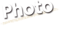 Photo TheBeach bar photostreamɂČJI