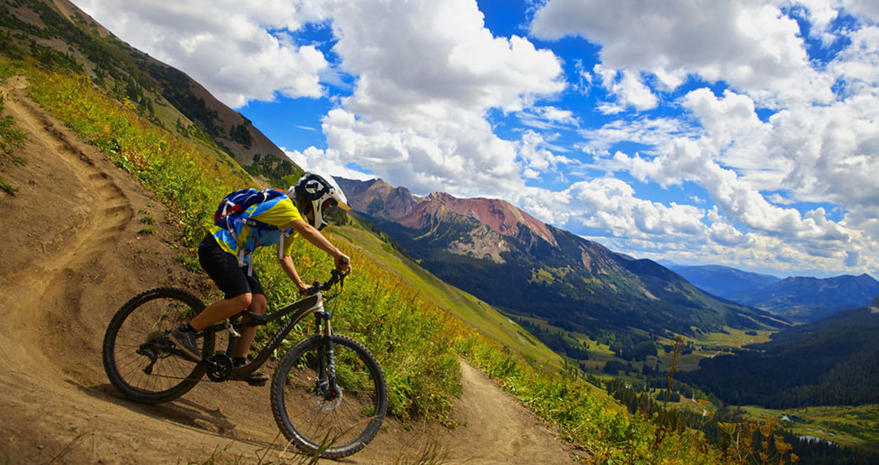 アクティビティ体験