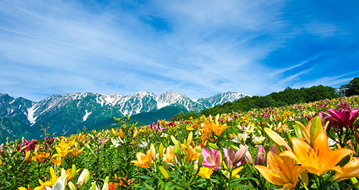 白馬村の観光スポット