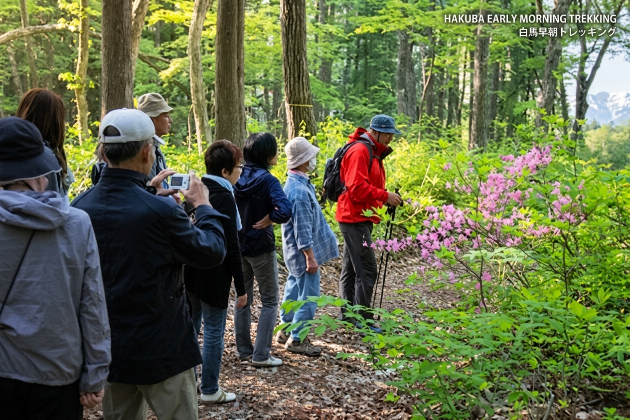 早朝トレッキング