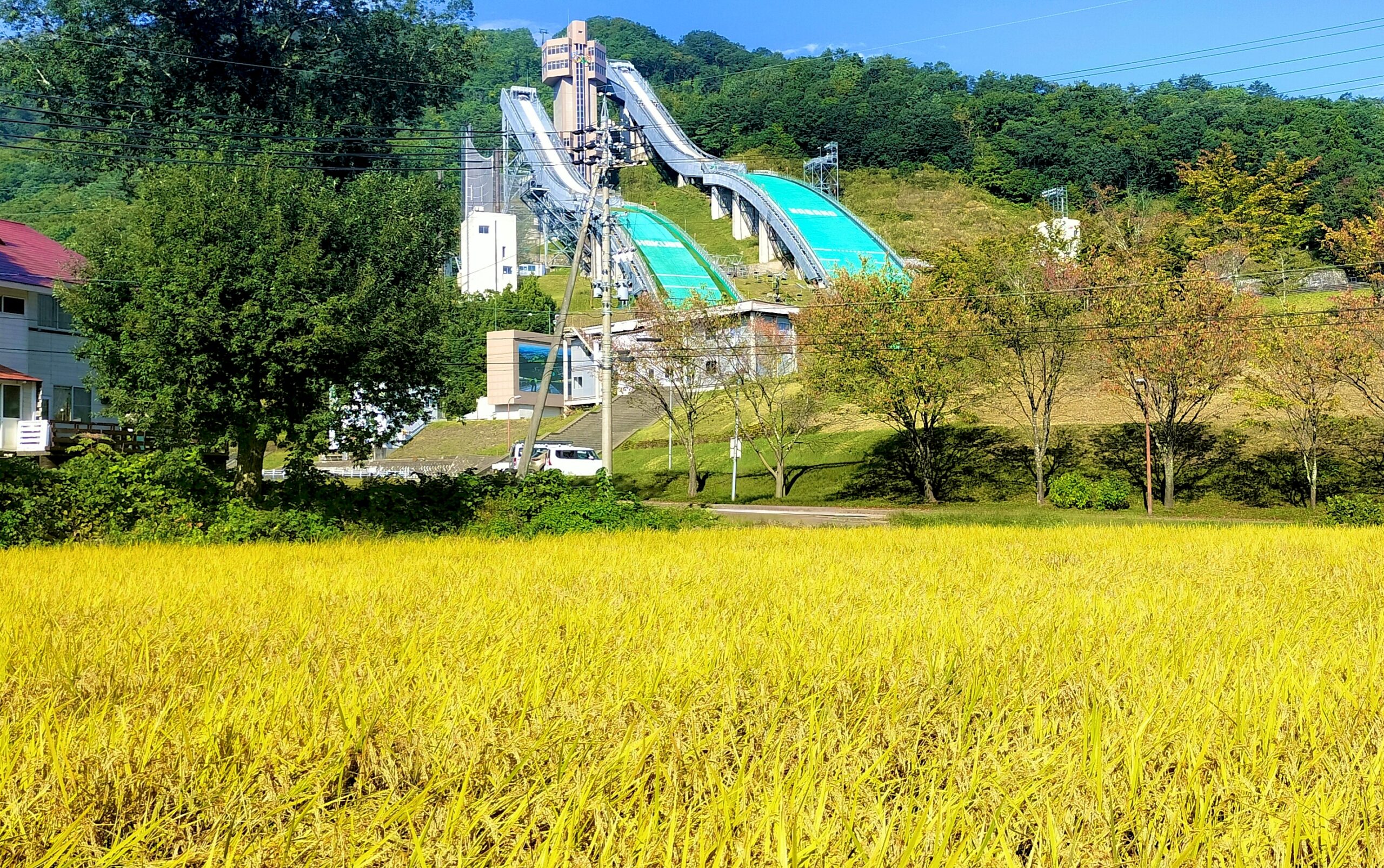 食は、体験の記憶をつくるもの