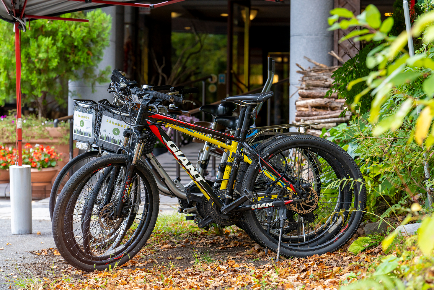 レンタルサイクル貸出